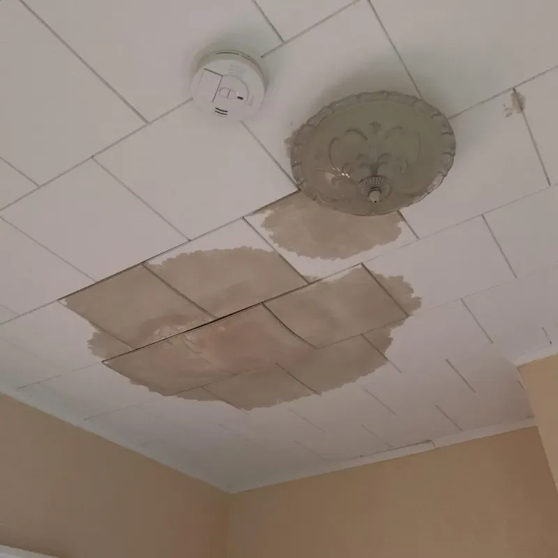 Ceiling Water Damage Repair in East Sandwich, MA