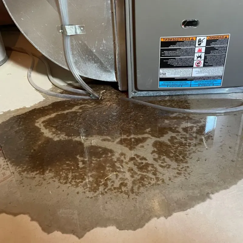 Pipe Burst and Leak Restoration in East Sandwich, MA
